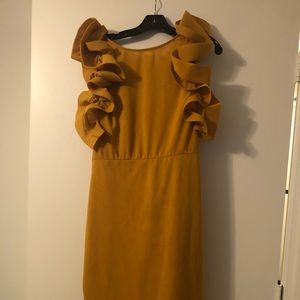 Ruffled Sleeve Dress